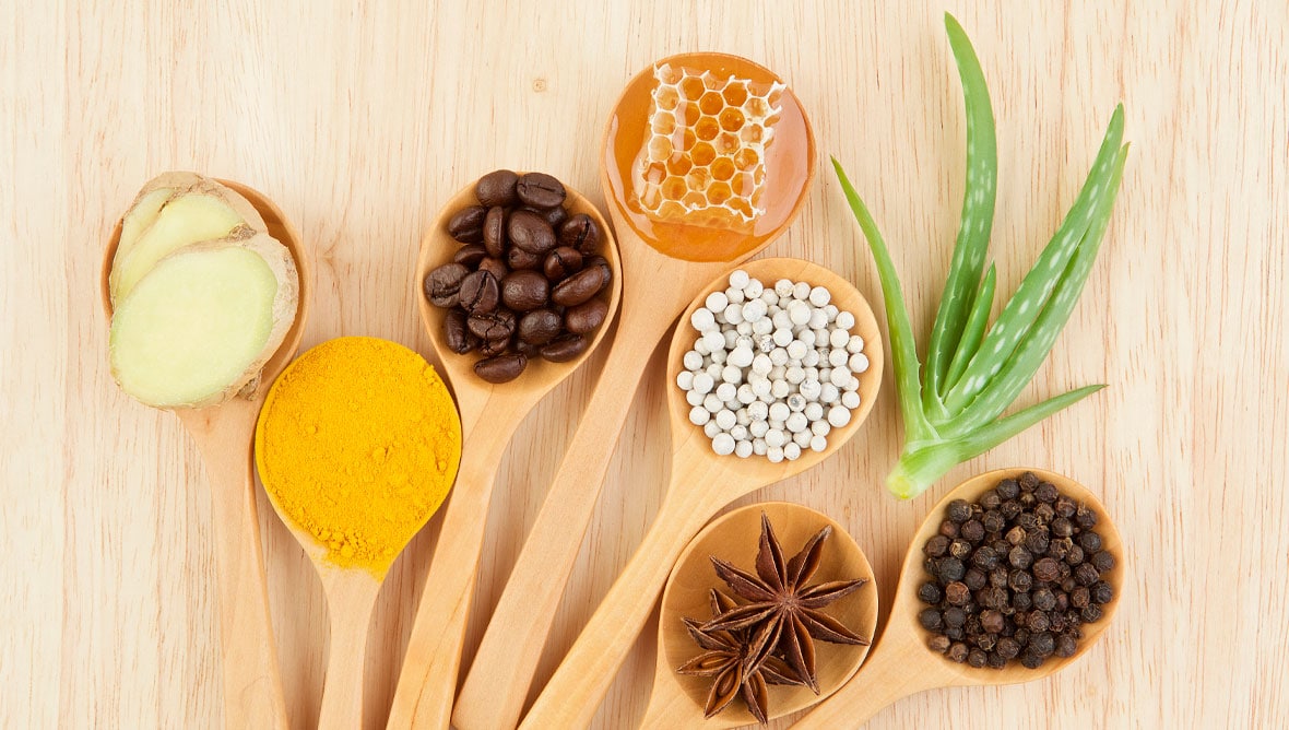 Plantas Medicinales para la Gastritis: Alternativas Naturales para Proteger el Estómago