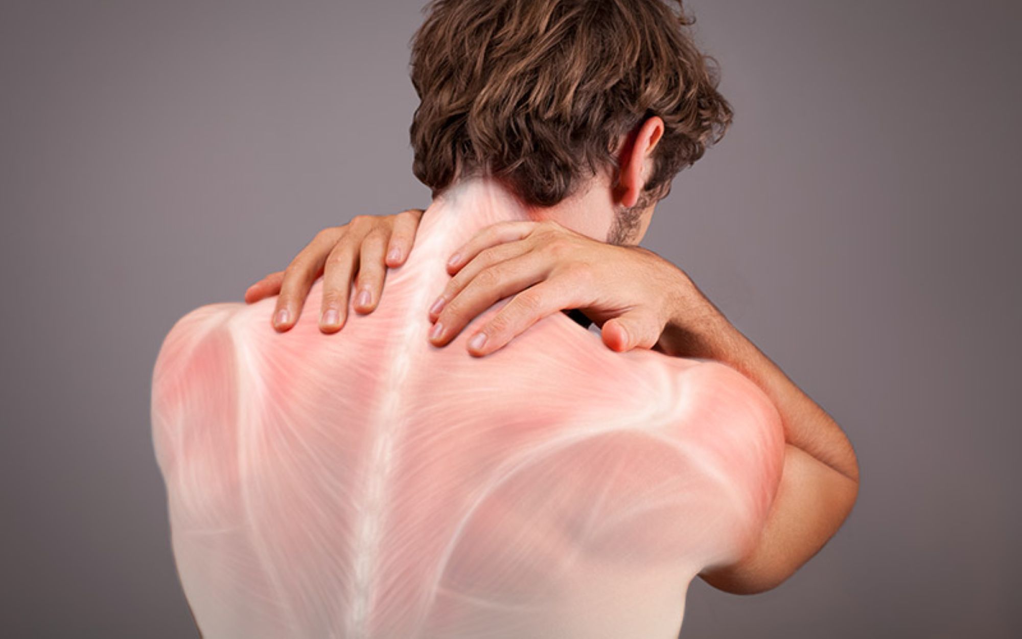 La importancia de la fascia en la salud muscular: claves para mantenerla en equilibrio