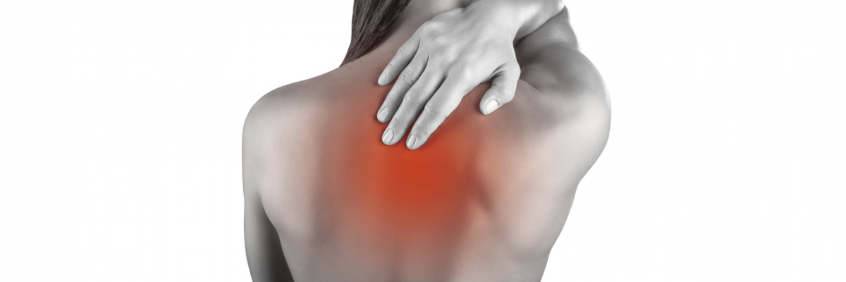 ¿Dolor interescapular que no se va? El papel del hígado en tu espalda