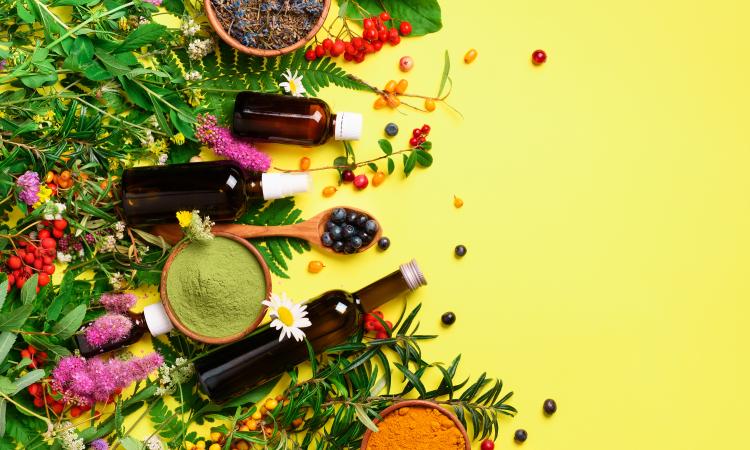 Cosmovisión de Fiit Concept: un enfoque integrativo para mejorar tu calidad de vida