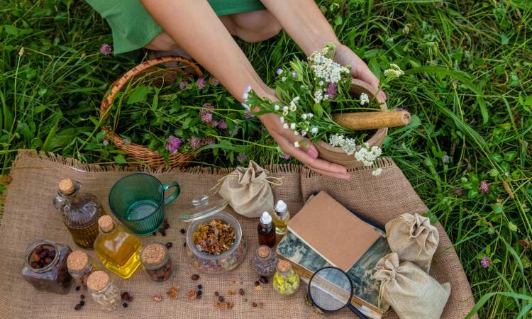 Plantas Medicinales Tu Aliada para Resultados Reales