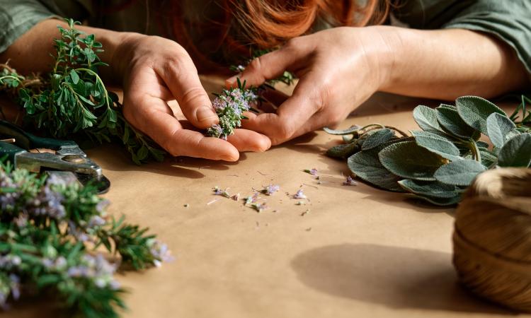 Alternativas al Tratamiento Quirúrgico del Túnel Carpiano con Fiit Concept