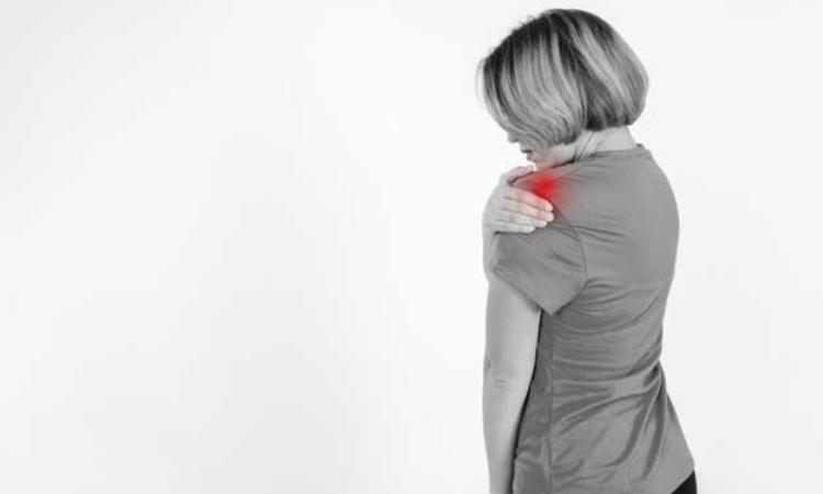 Fitoterapia para la inflamación del hombro: plantas medicinales que alivian la tendinitis