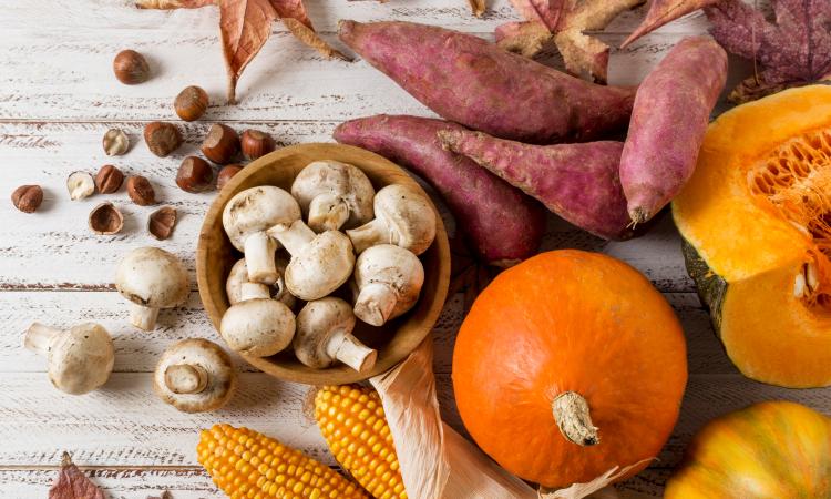 Cómo preparar tu cuerpo para el cambio de estación: salud músculo-visceral