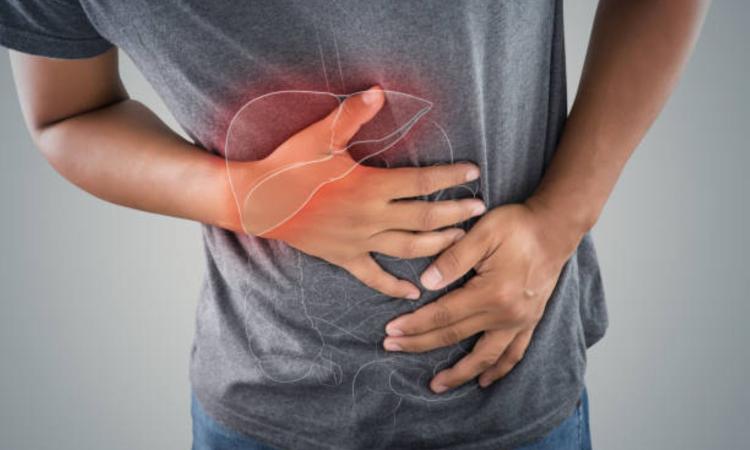 Disfunción de la vesícula biliar: una causa oculta de tu dolor interescapular