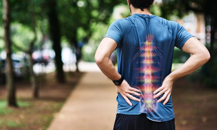Hernia discal y sus verdaderas causas: más allá de la compresión nerviosa
