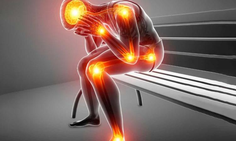 Fibromialgia desde Fiit Concept: ¿qué hay más allá del diagnóstico?