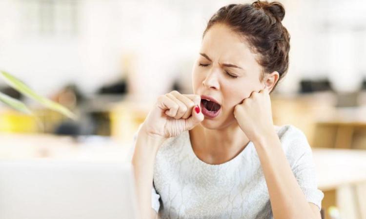 ¿Te quedas sin energía a media tarde? Cómo activar el cuerpo y recuperar un ritmo diario más estable